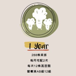 水善田-全萵苣類菜苗