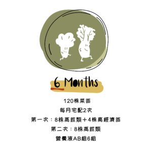 水善田-綜合菜苗套餐